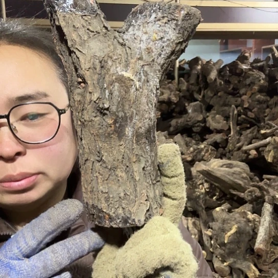 香榧木翔*火琉璃的故事曼联啊摆件