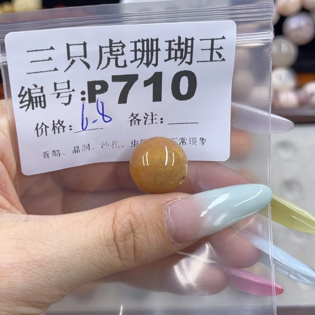 *****硅化珊瑚（珊瑚玉）h未镶嵌