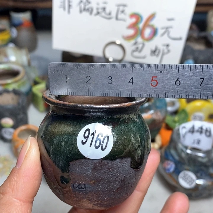 拍5送一个小礼物花盆