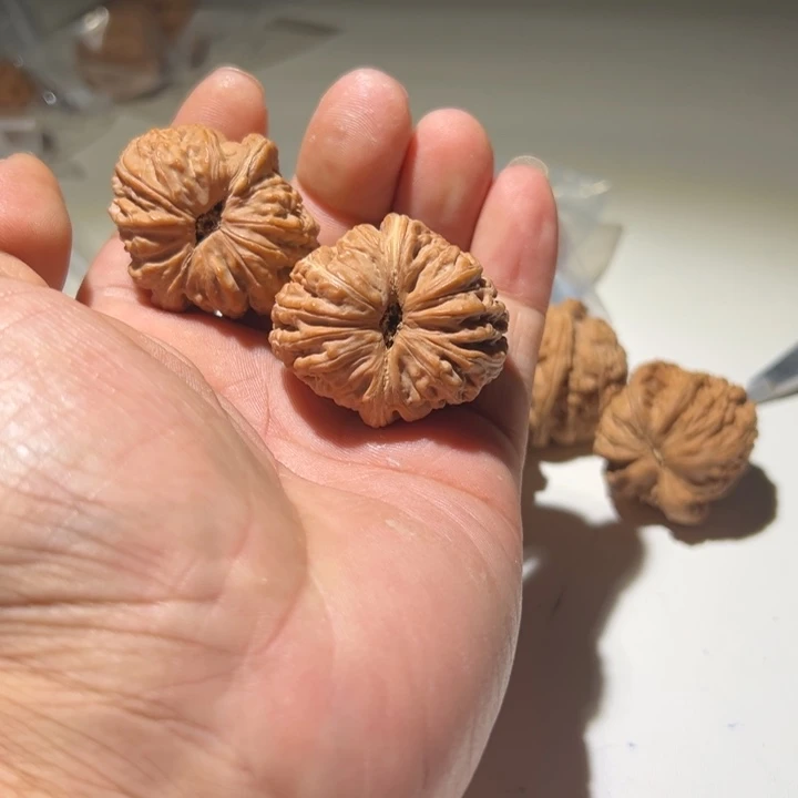 用***6文玩核桃把件元宝