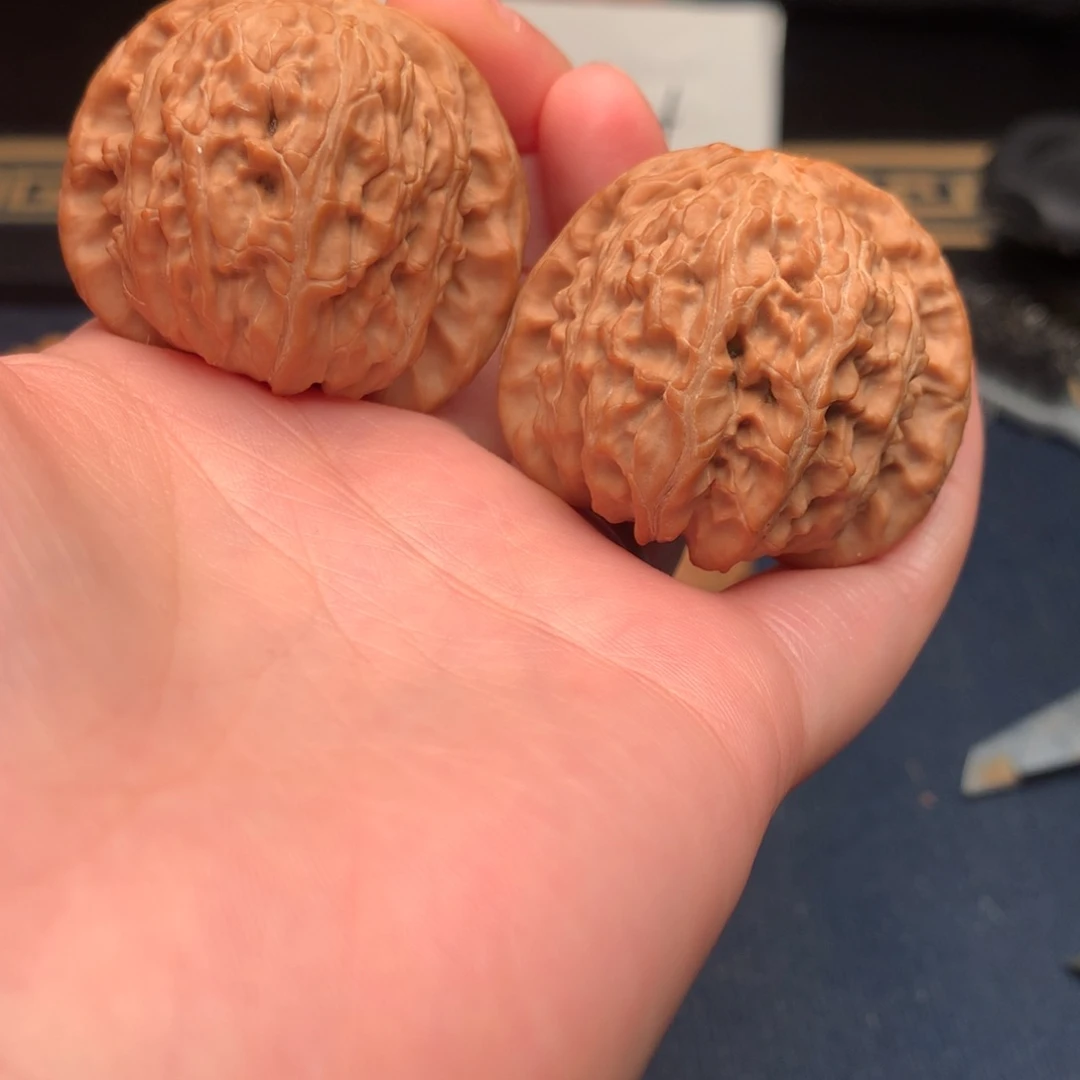 文玩核桃把件白狮子40