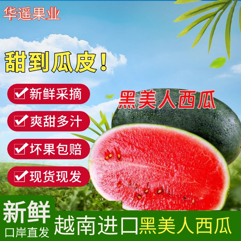 【云南助农】黑美人西瓜脆甜多汁现货口岸直发包邮