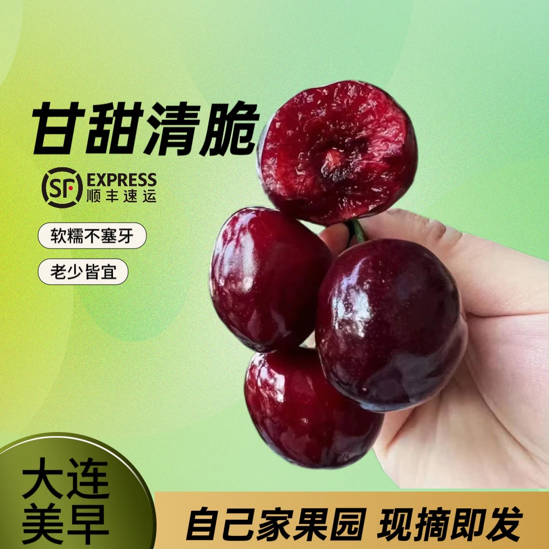 大连露天美早樱桃顺丰包邮B