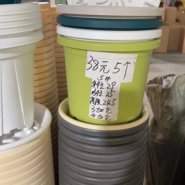 微瑕5#口29无托果绿5个