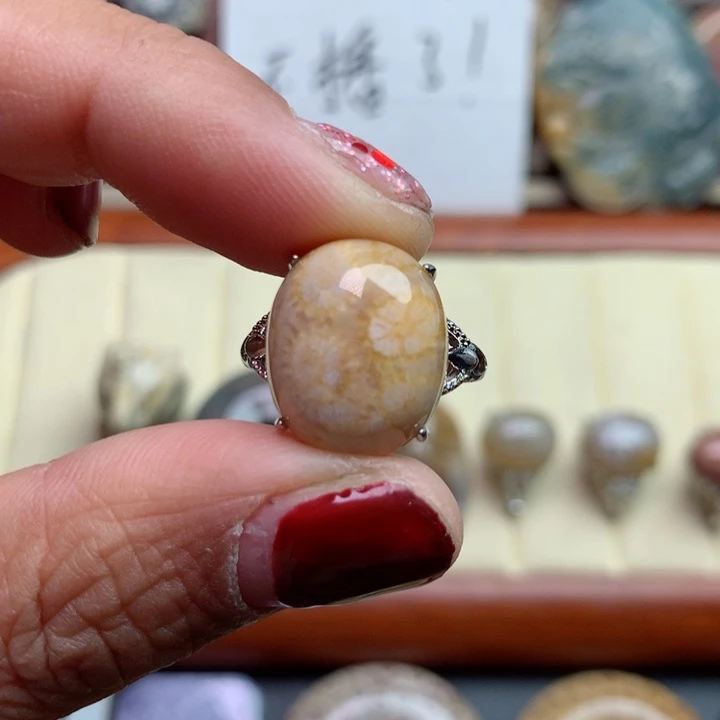 硅化珊瑚（珊瑚玉）颈饰未镶嵌