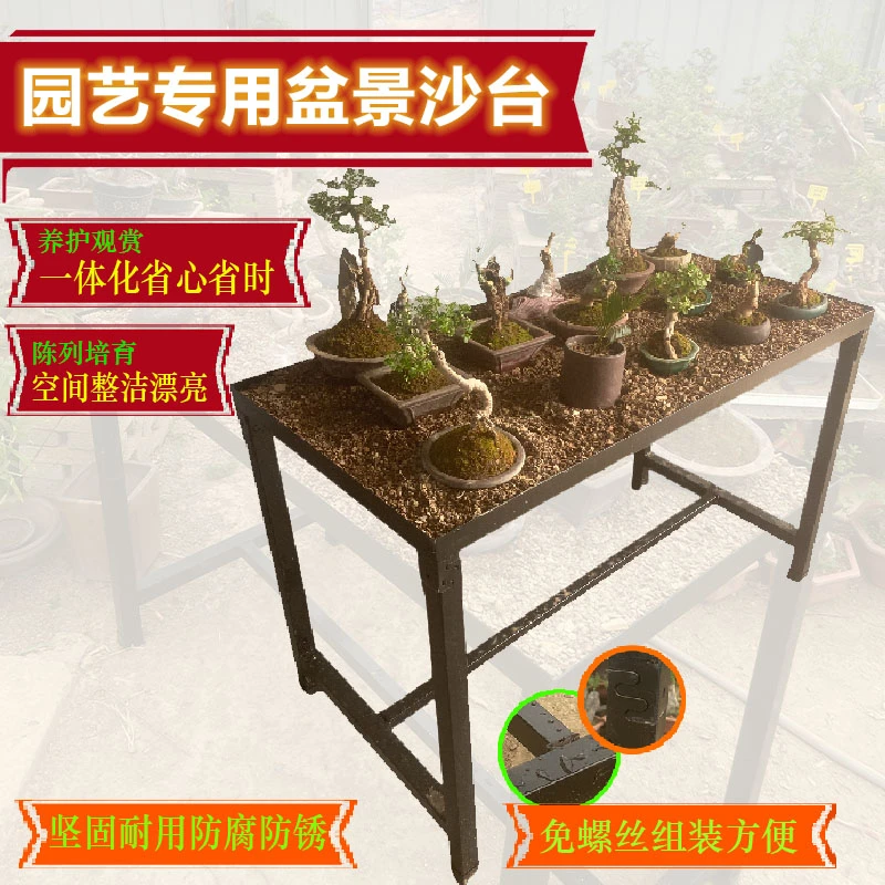园艺专用盆景沙台养护专用一体化大沙盘陈列培育空间整洁保湿