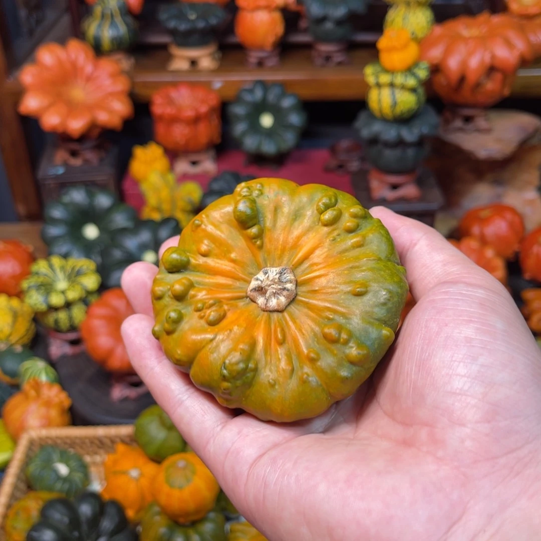 用****5哈喽哈喽葫芦厉害葫芦