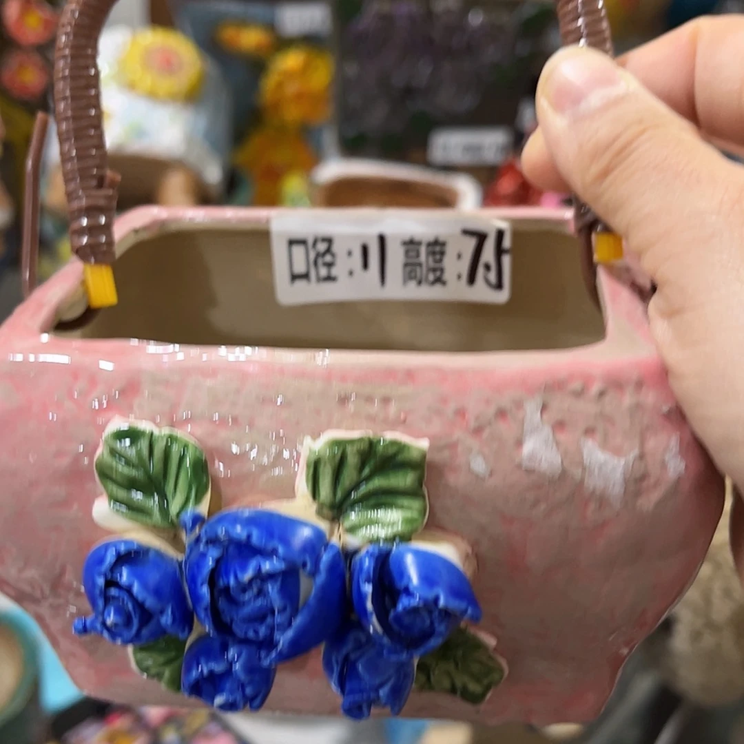 【闪购商品】红陶福利