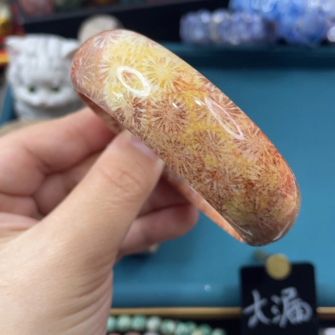 未镶嵌手镯硅化玉