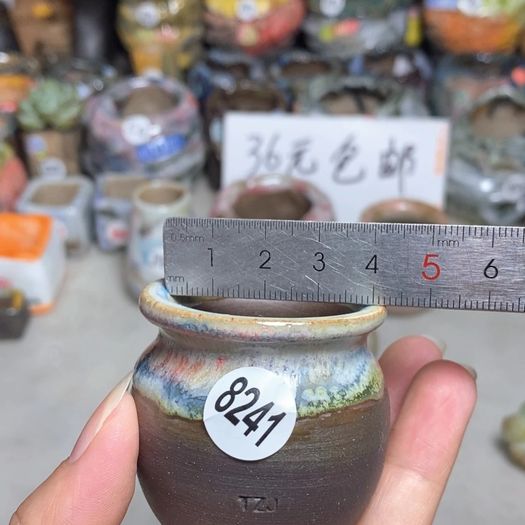 拍5送一个小礼物