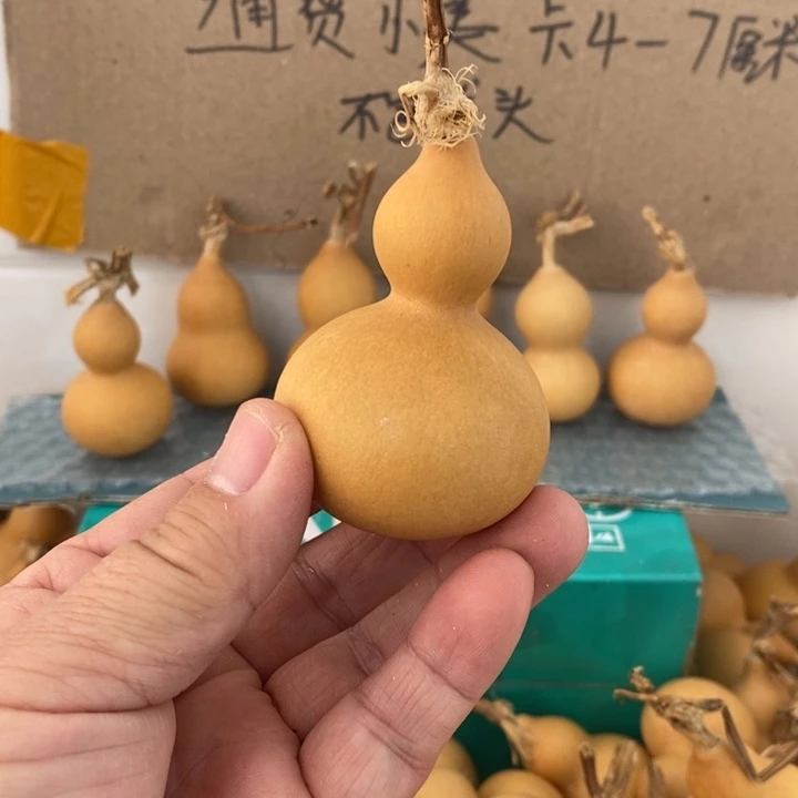 葫芦葫芦葫芦葫芦葫芦