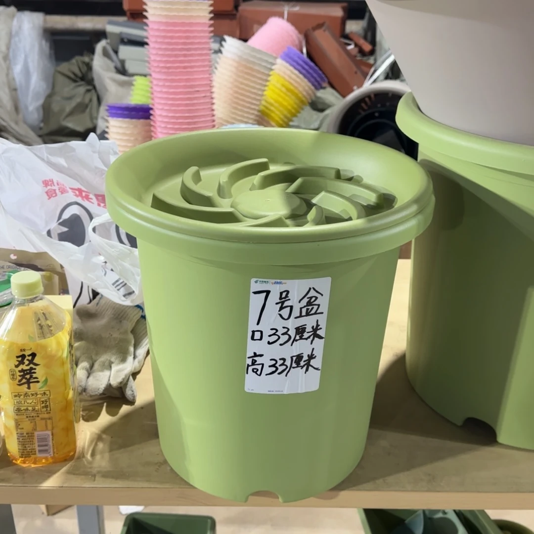 塑料四季7号果绿5个带拖