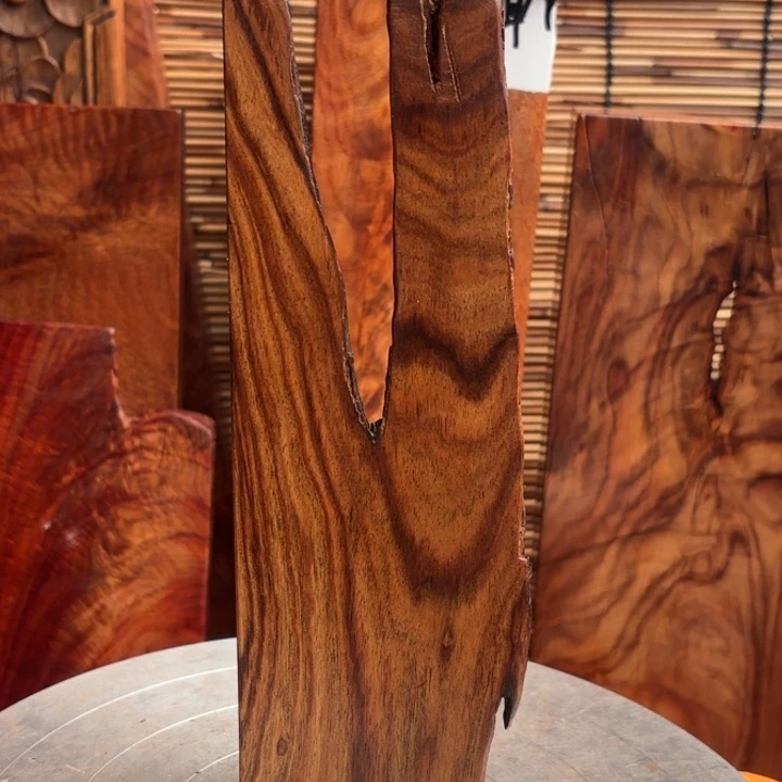 杨***奎大叶紫檀（黑酸枝木类）