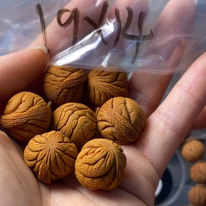 文玩核桃手串秦岭野生龙纹桃核19