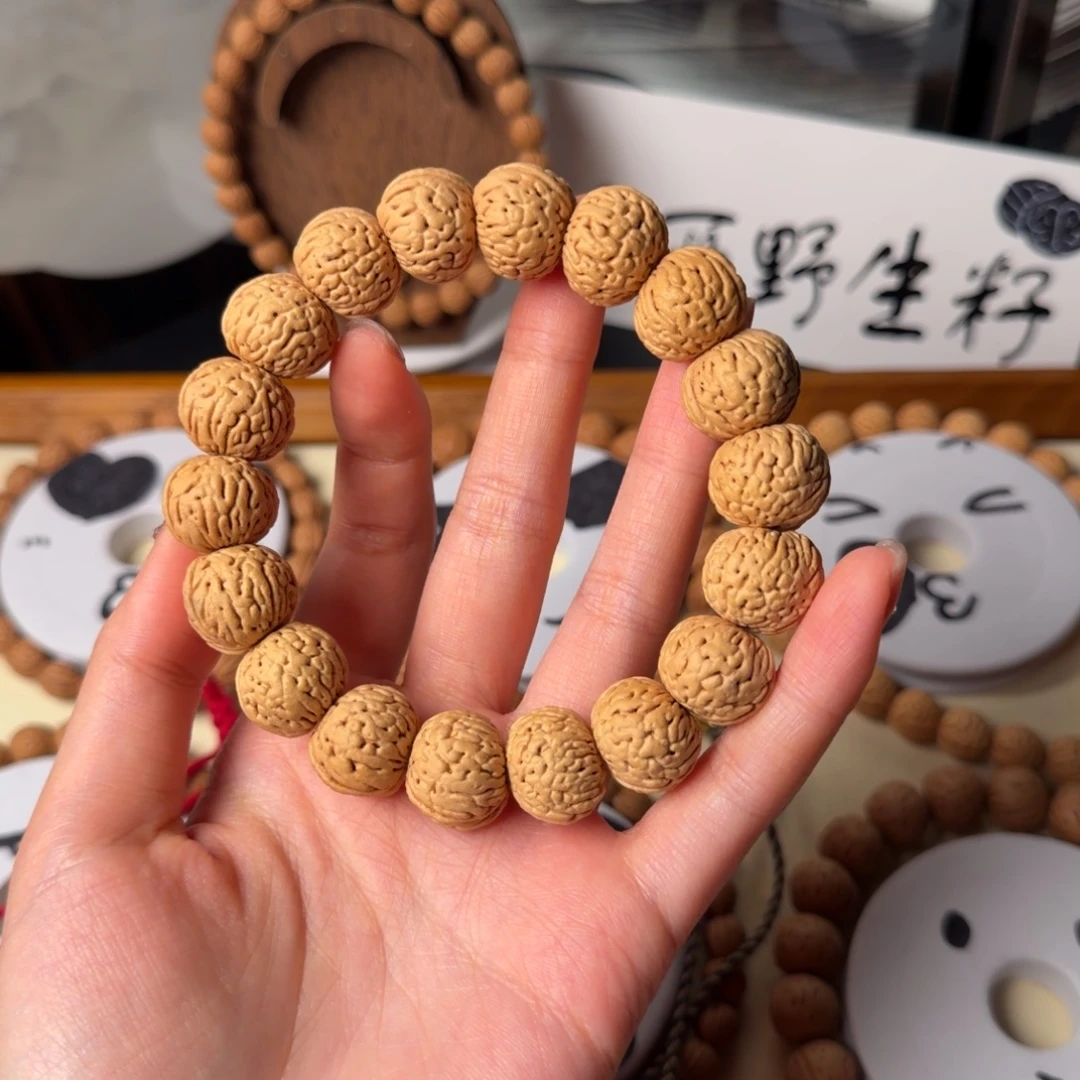 上***啡野生龙鳞纹芭蕉扇