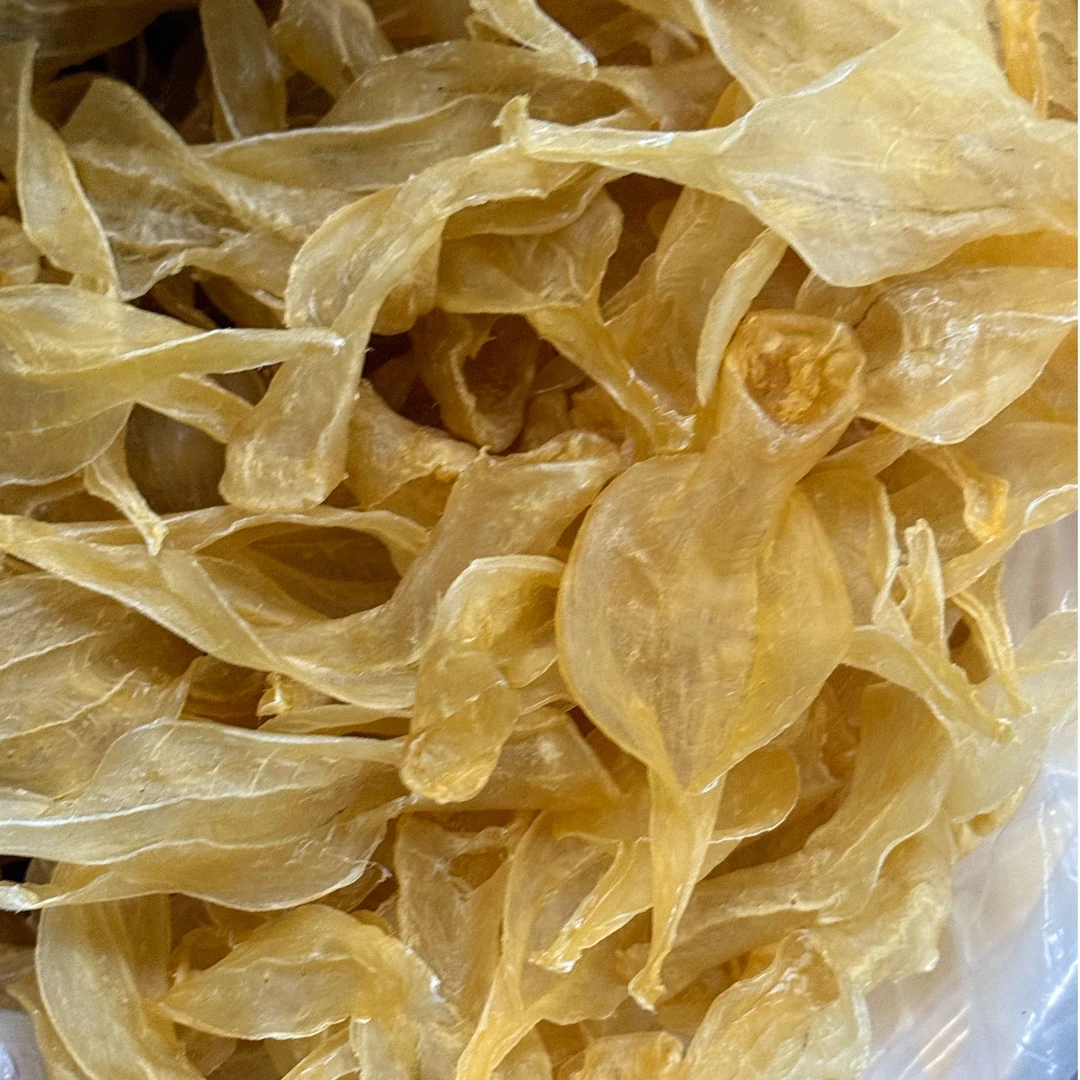 122头 开片本白  鱼胶花胶滋补好物鱼胶甄选