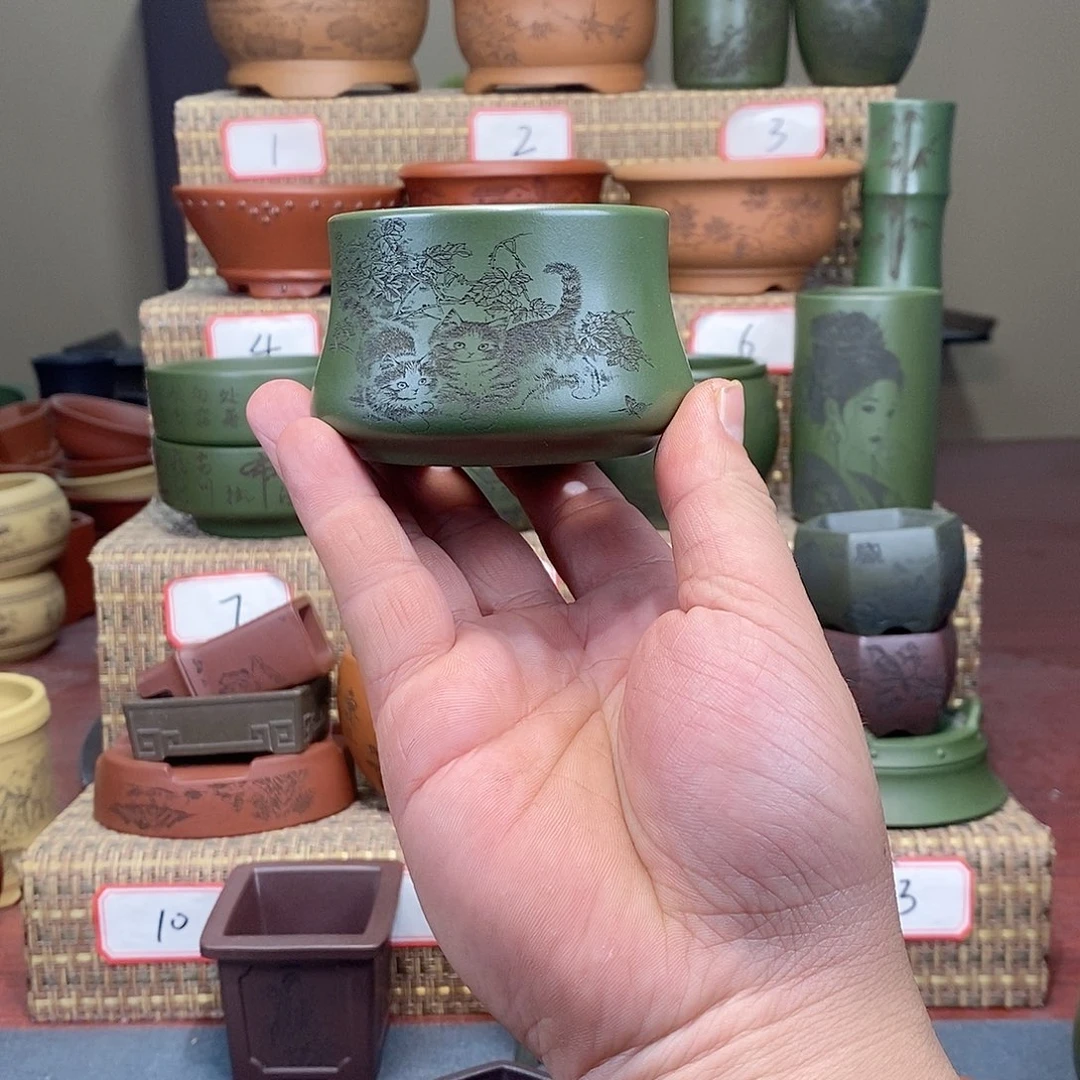 紫砂花盆在看书了