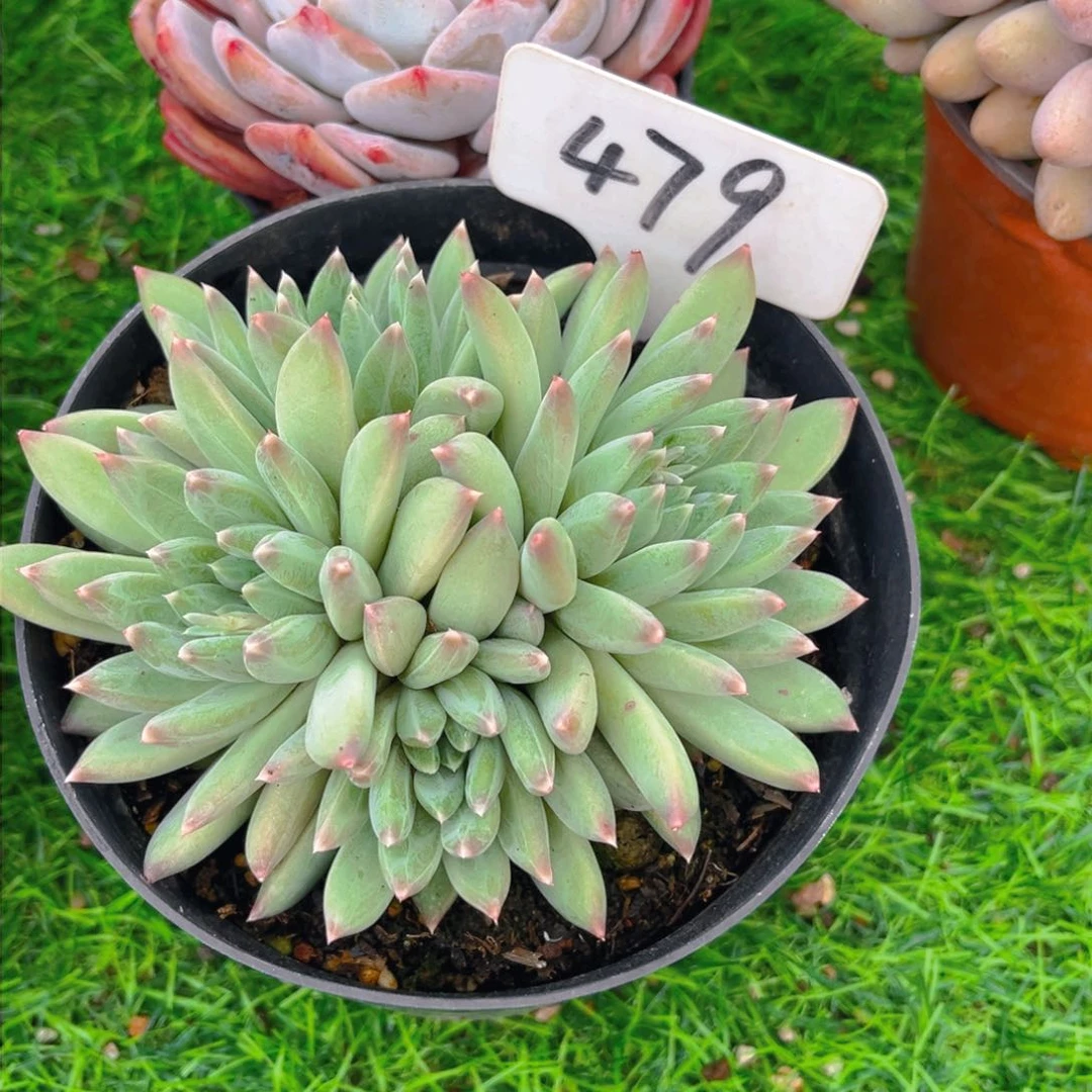 美****?479fghjjjjjjjnn