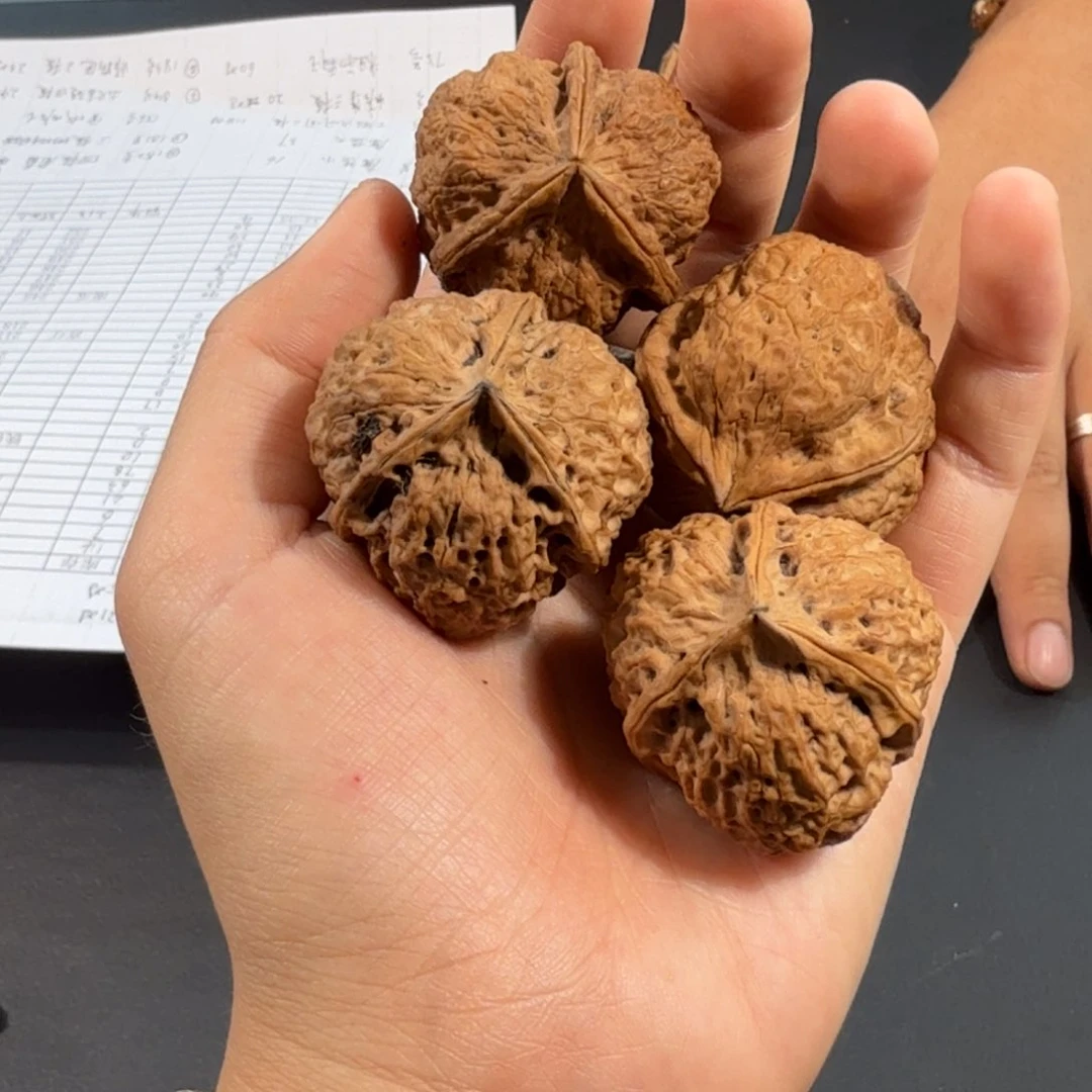 文玩核桃把件181号三棱随机发