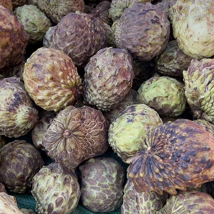 中国大陆巨丑释迦果5斤