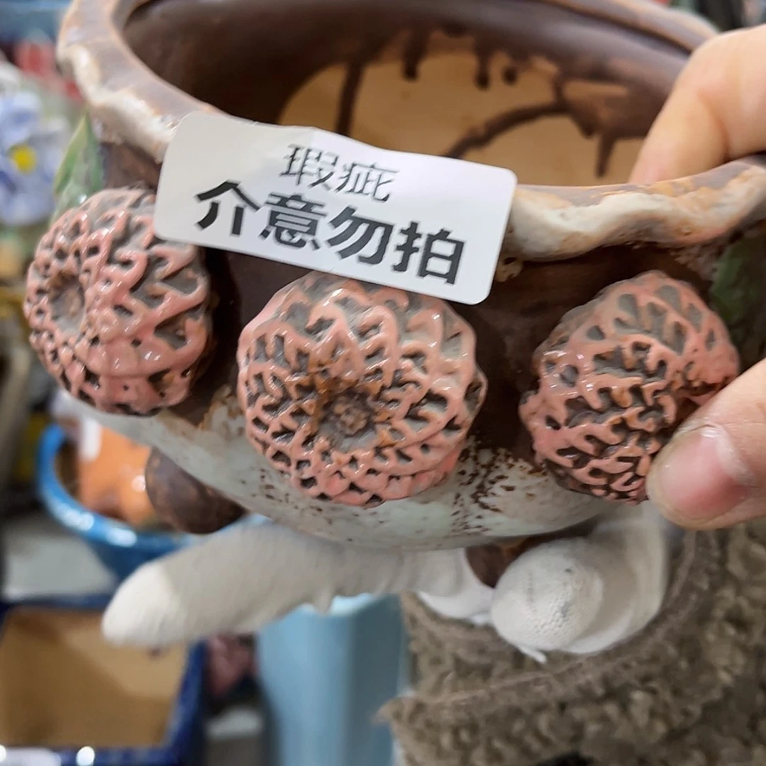 【闪购商品】红陶瑕疵10207