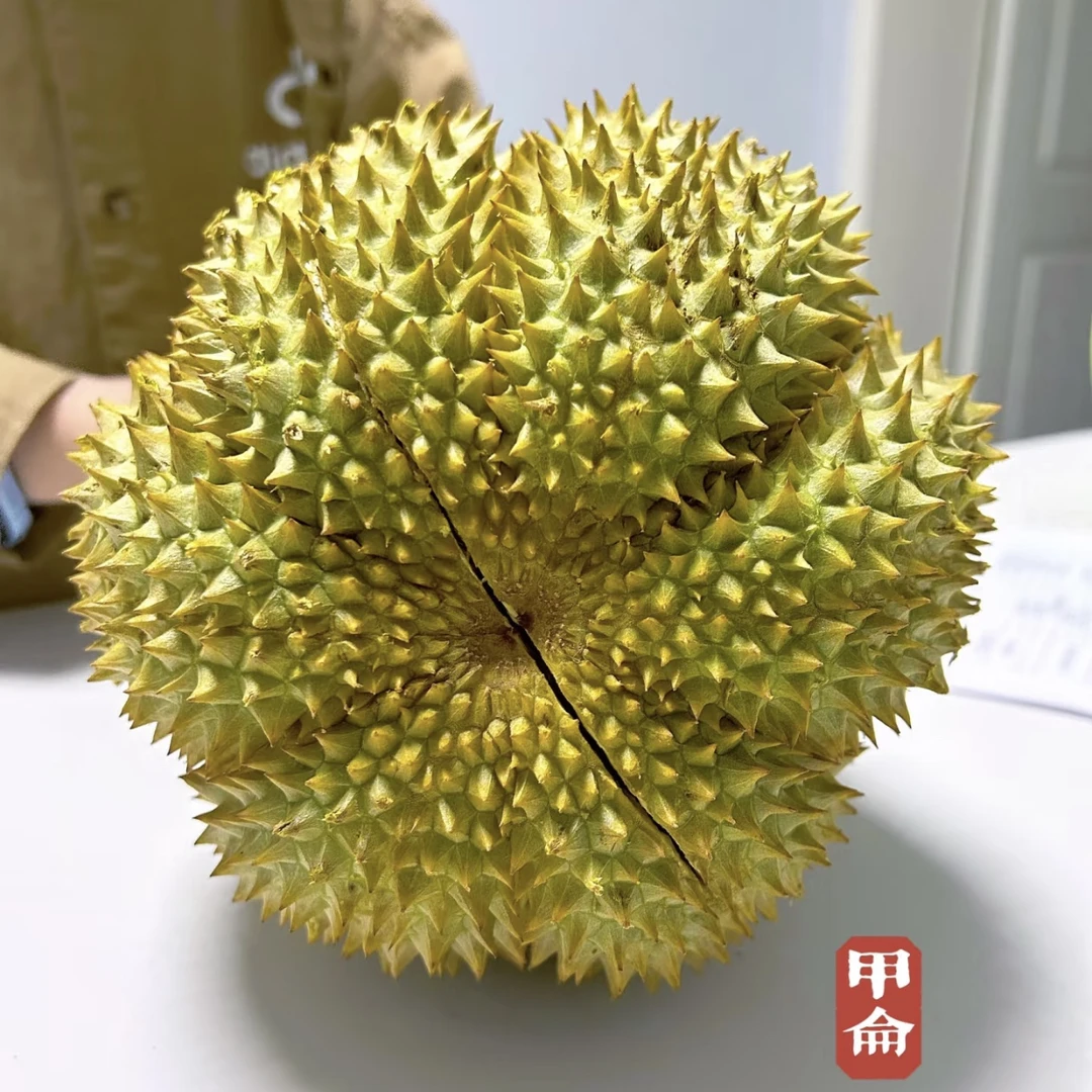 【一物一拍】泰国甲仑鲜榴莲(核大)-1个1300-3100g甲仑泰国
