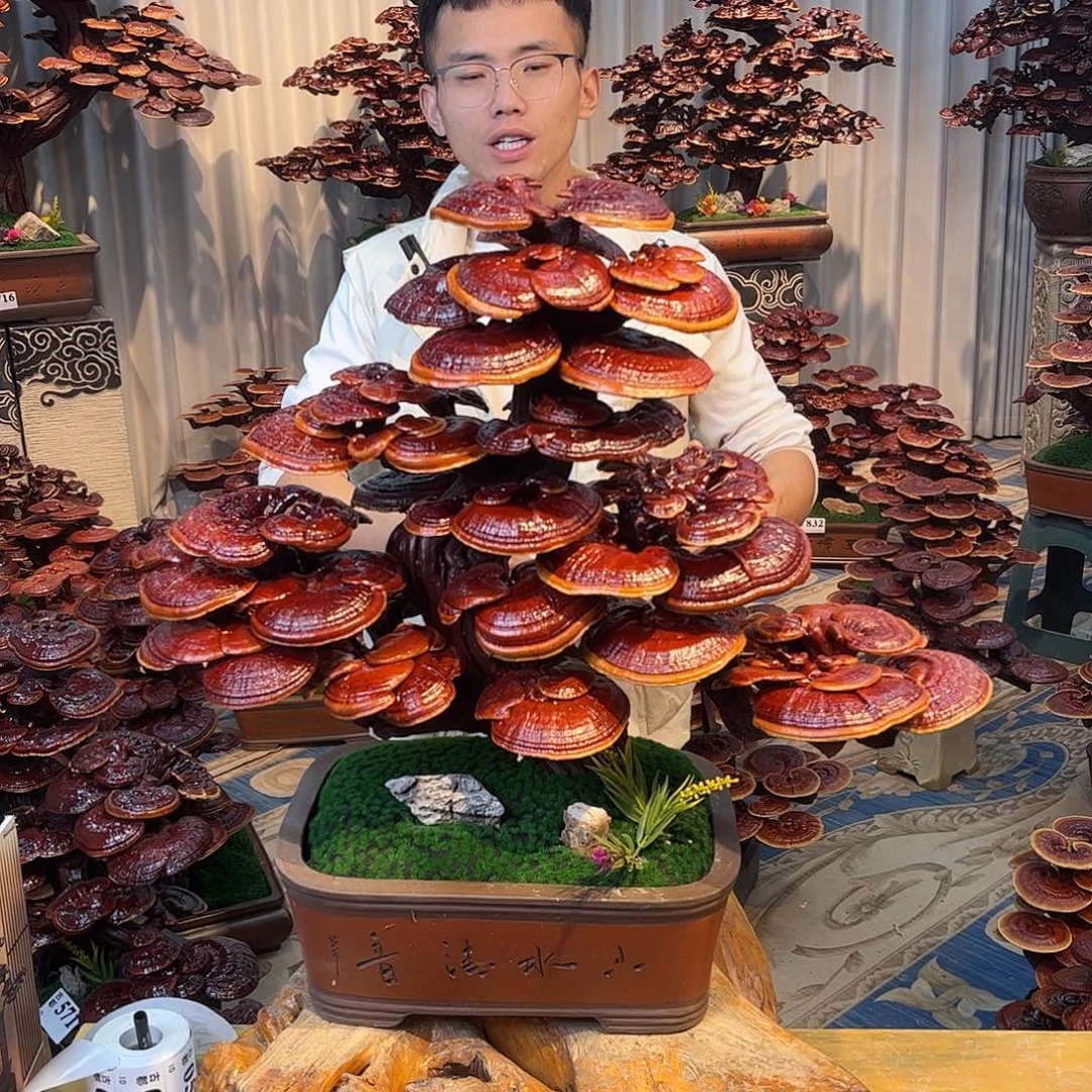 无花朵88888888888