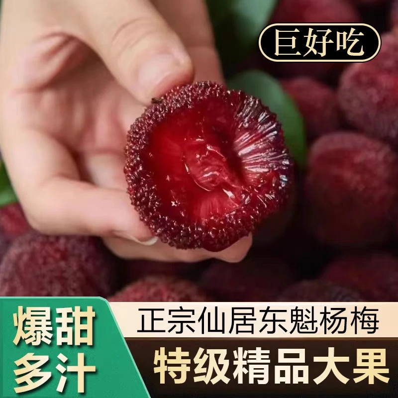 顺丰包邮AM浙江仙居高山杨梅颗粒装现装现发应季水果新鲜