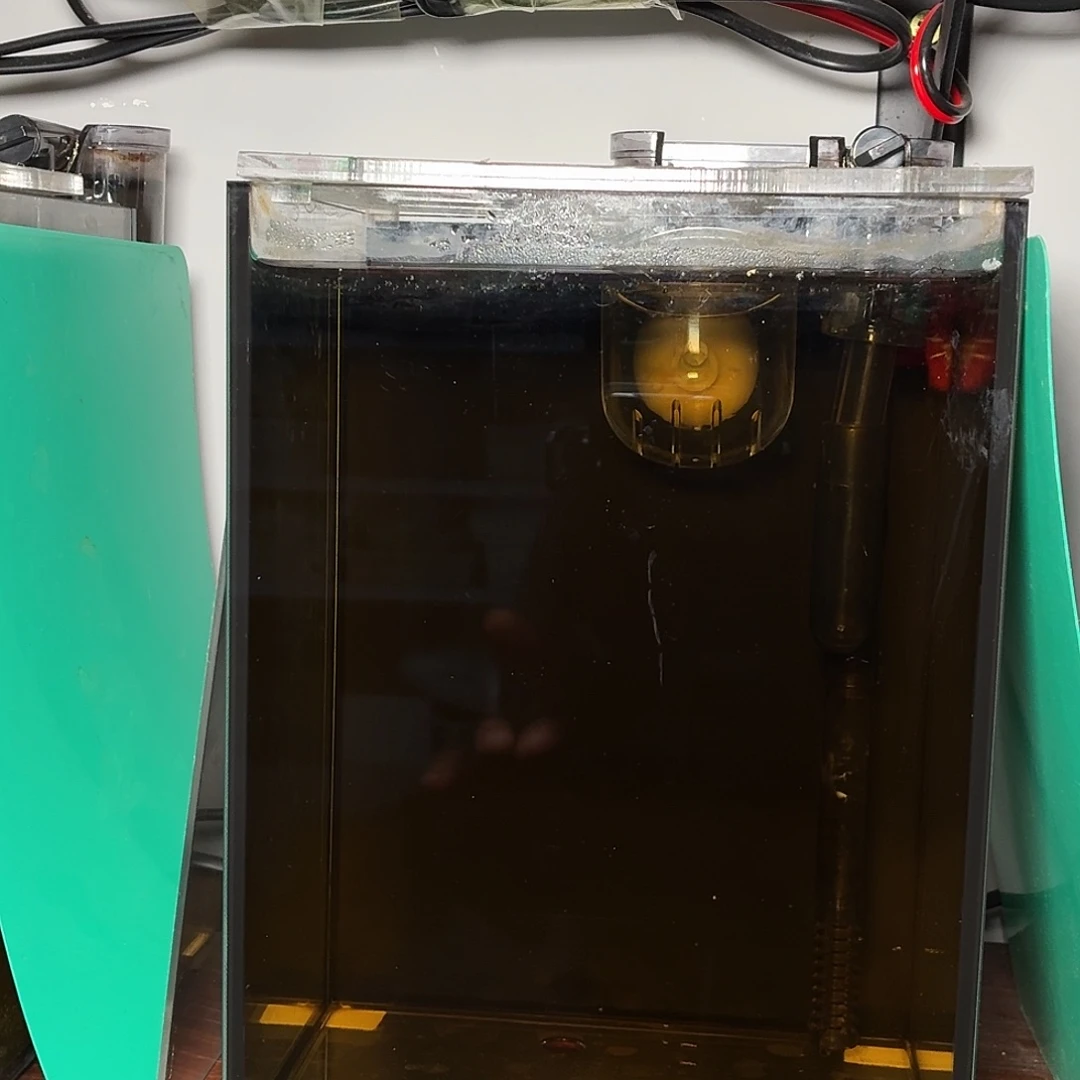 斗鱼彩金将军公鱼