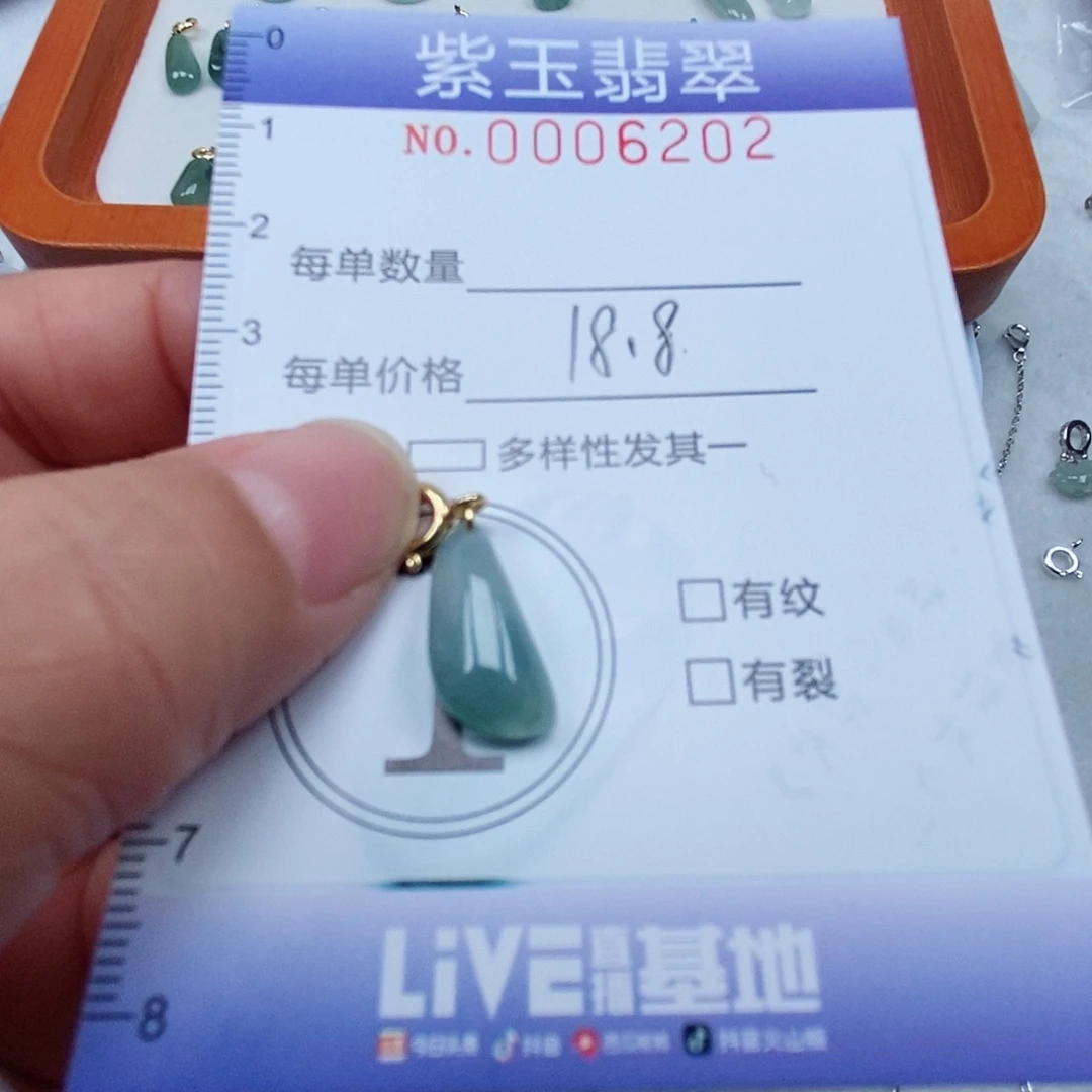 颈饰未镶嵌翡翠冰透飘花随行