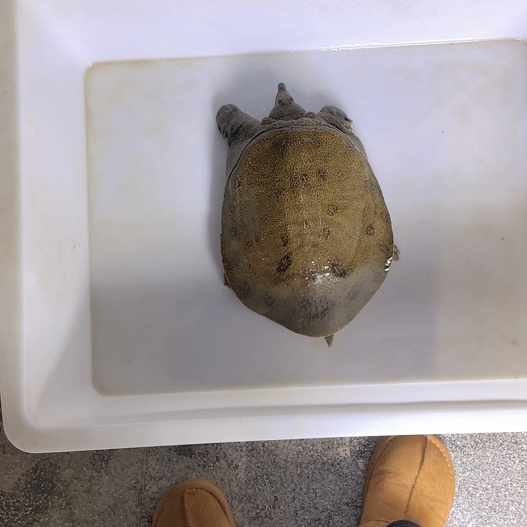 中国大陆12345667