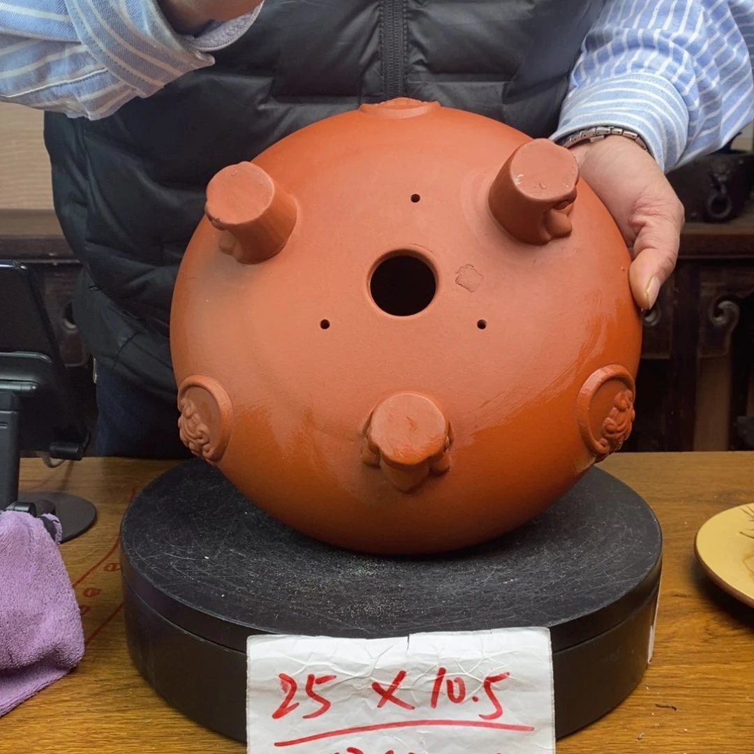 红陶货号一只SZ111