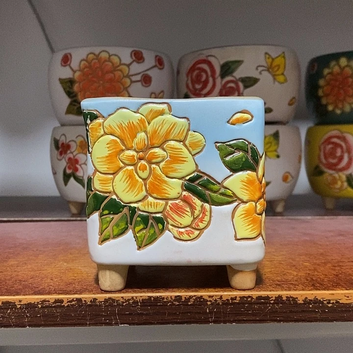 韩式多肉植物花盆