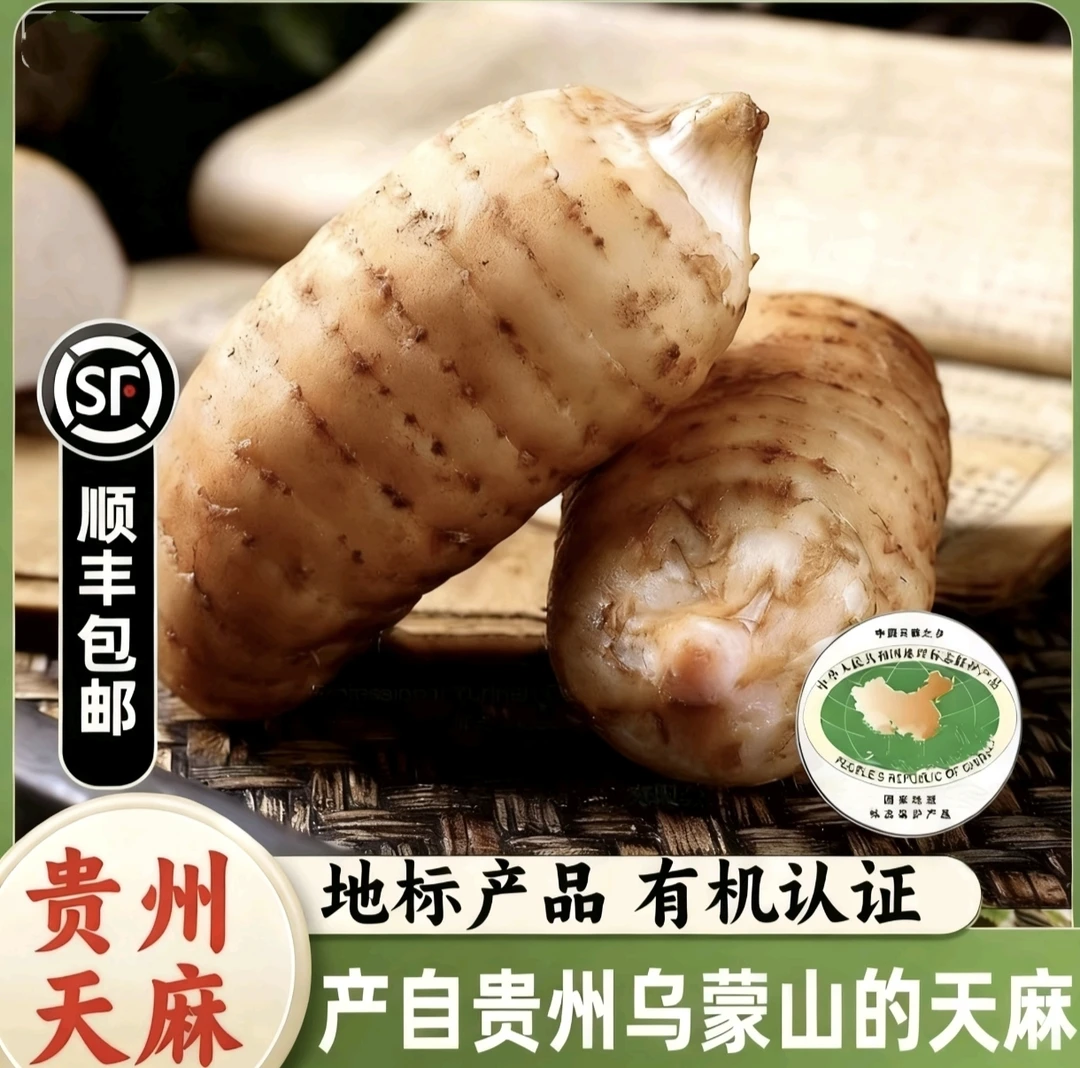 贵州天麻野生天麻正宗野生天麻仿野生种植可煲汤泡酒炖肉滋补食用