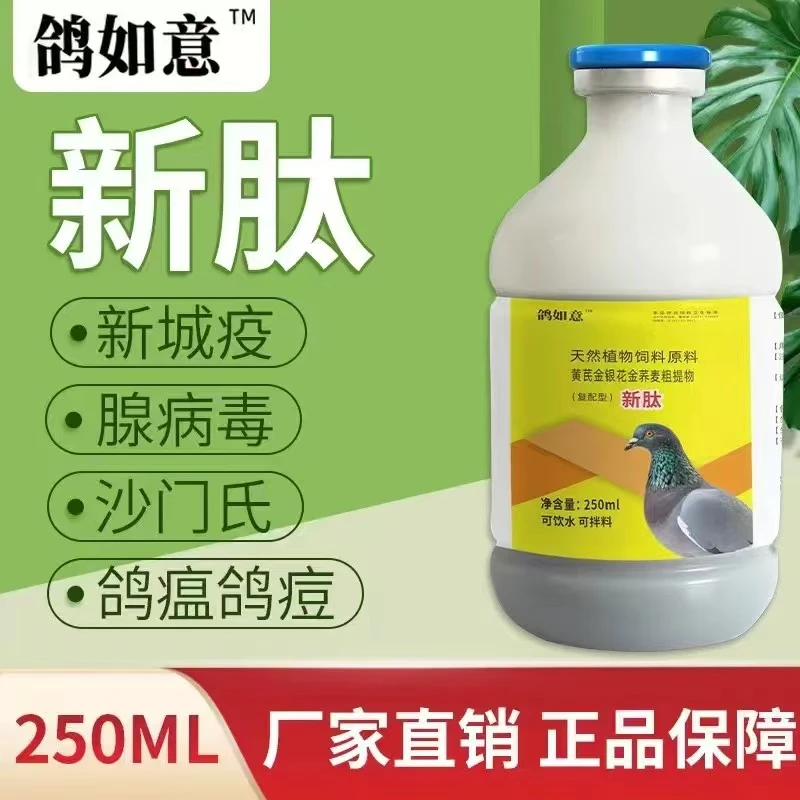 信鸽，观赏鸽，肉鸽营养品。