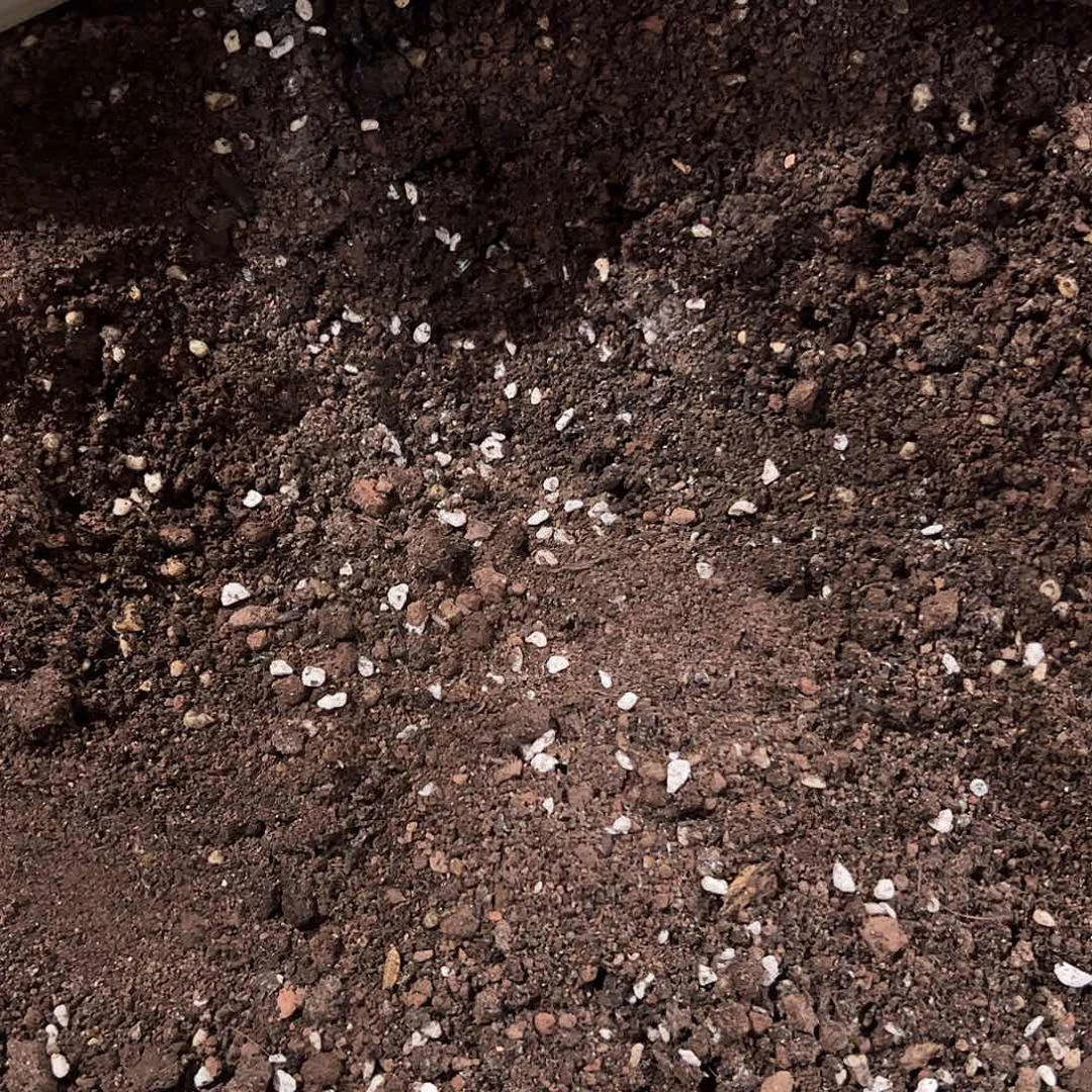 无花朵营养土百分之三十颗粒十斤