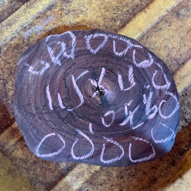 印度小叶紫檀15mm玉化金星龙现切款