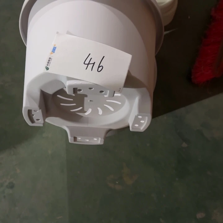 编号是416号的416号的