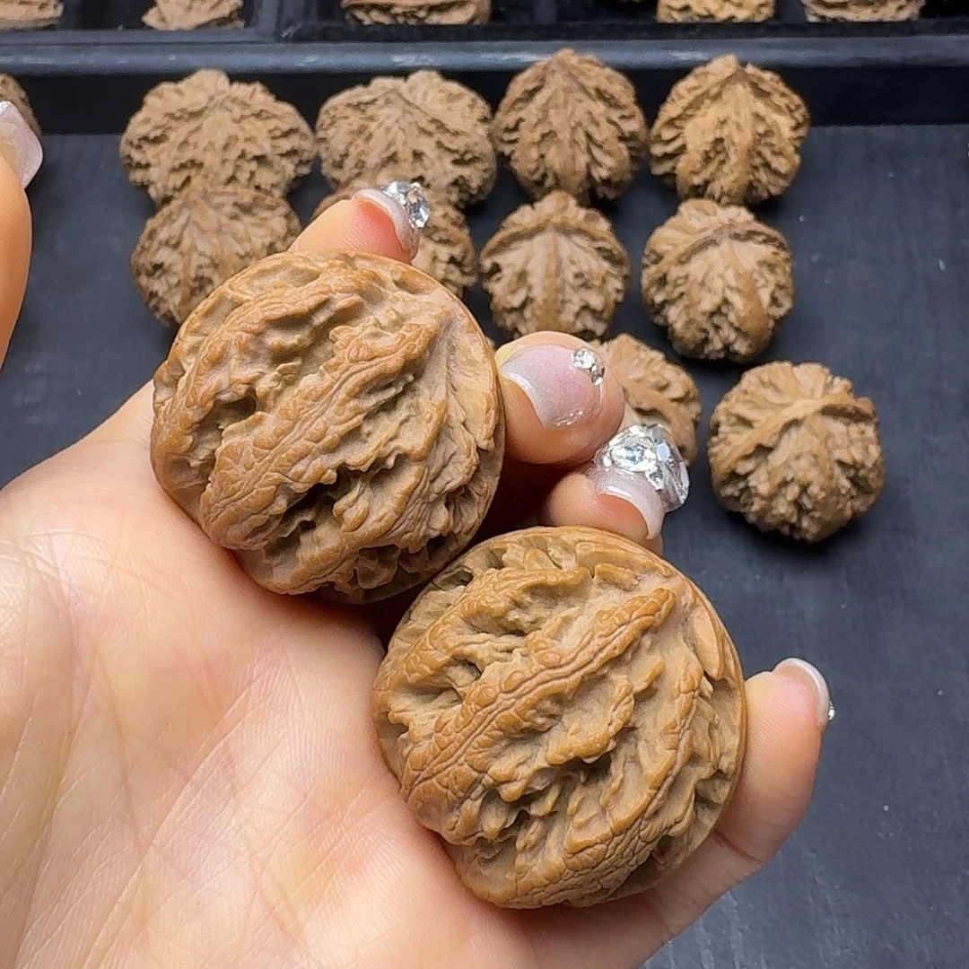 桃木突突突突突突突