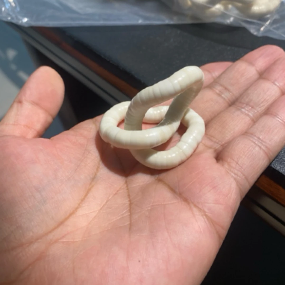 白玉菩提薄切大肠 尺寸8 可弹力绳可线绳
