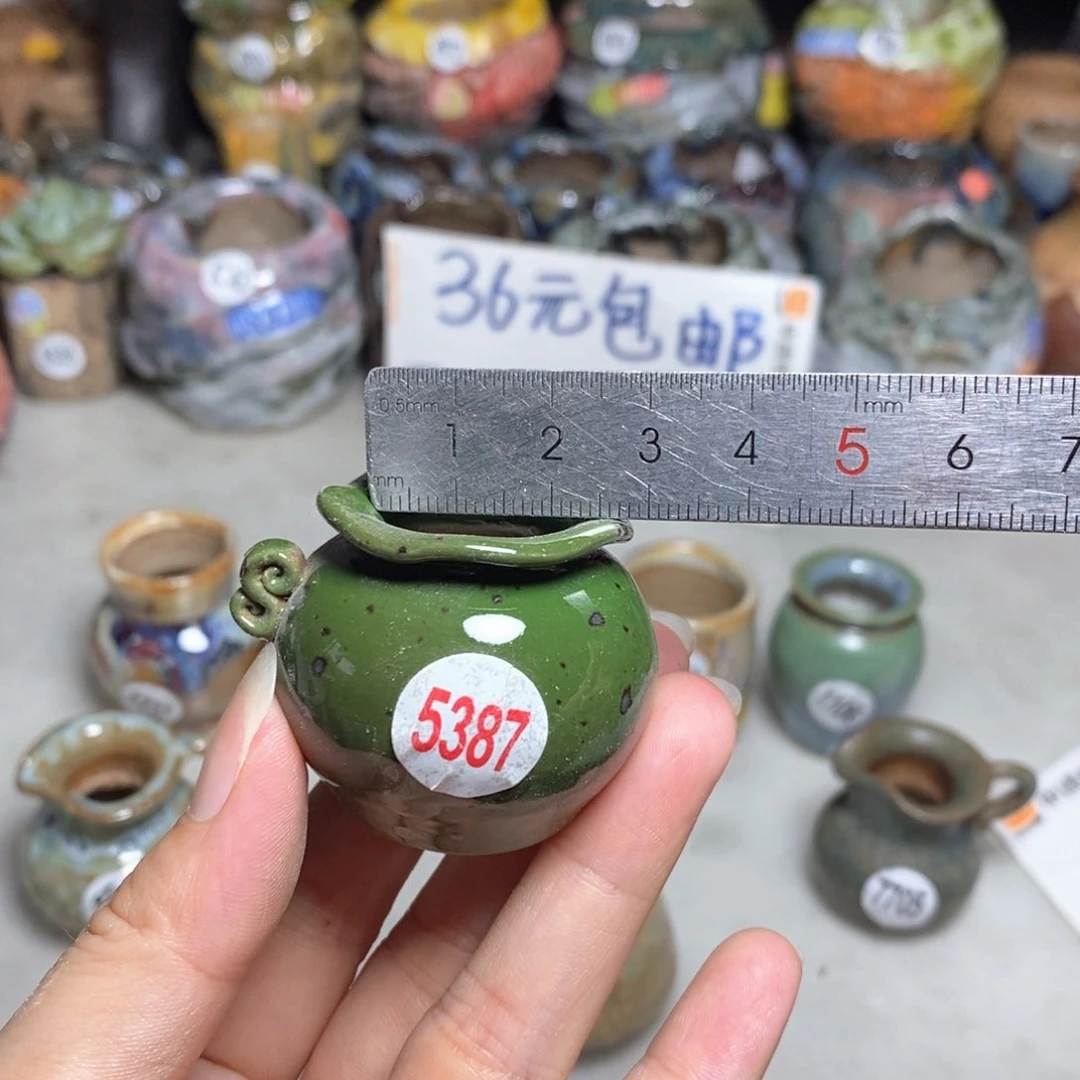 拍5送一个小礼物
