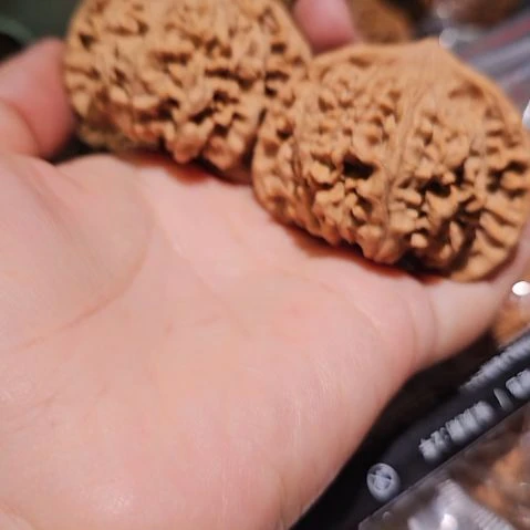黑***果文玩核桃吊坠52龙鼎管帽