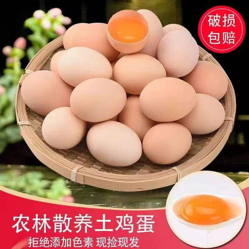 【可生食】林下散养土鸡蛋现捡现发五谷喂养土鸡蛋