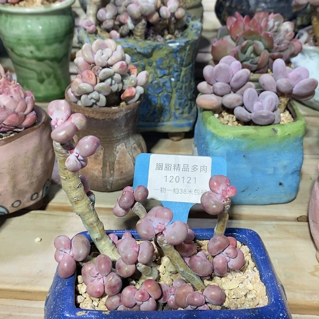 120121？find恶魔我璐璐璐璐