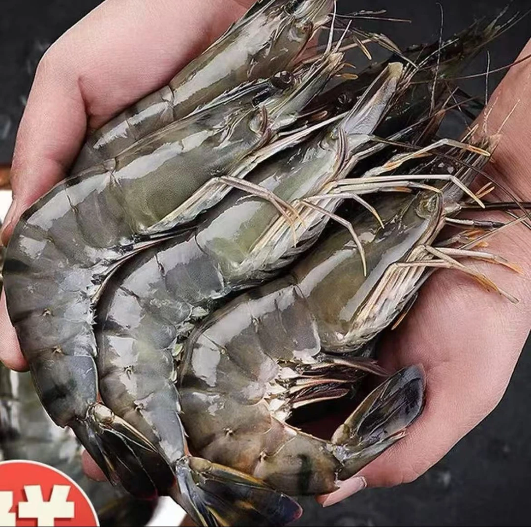 A【春春海鲜】鲜冻黑虎虾 老虎虾21-25规格30-40只左右/盒