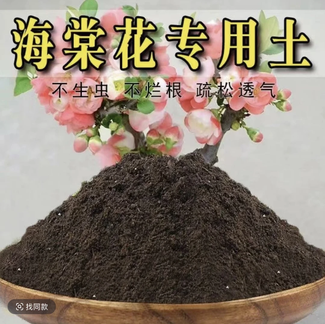 5斤装海棠专用土南北方种植