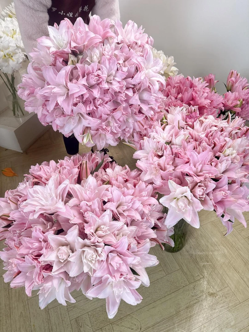 (双11鲜花)莲花皇后重瓣香水百合花（地区颜色香味有差异介意慎拍）