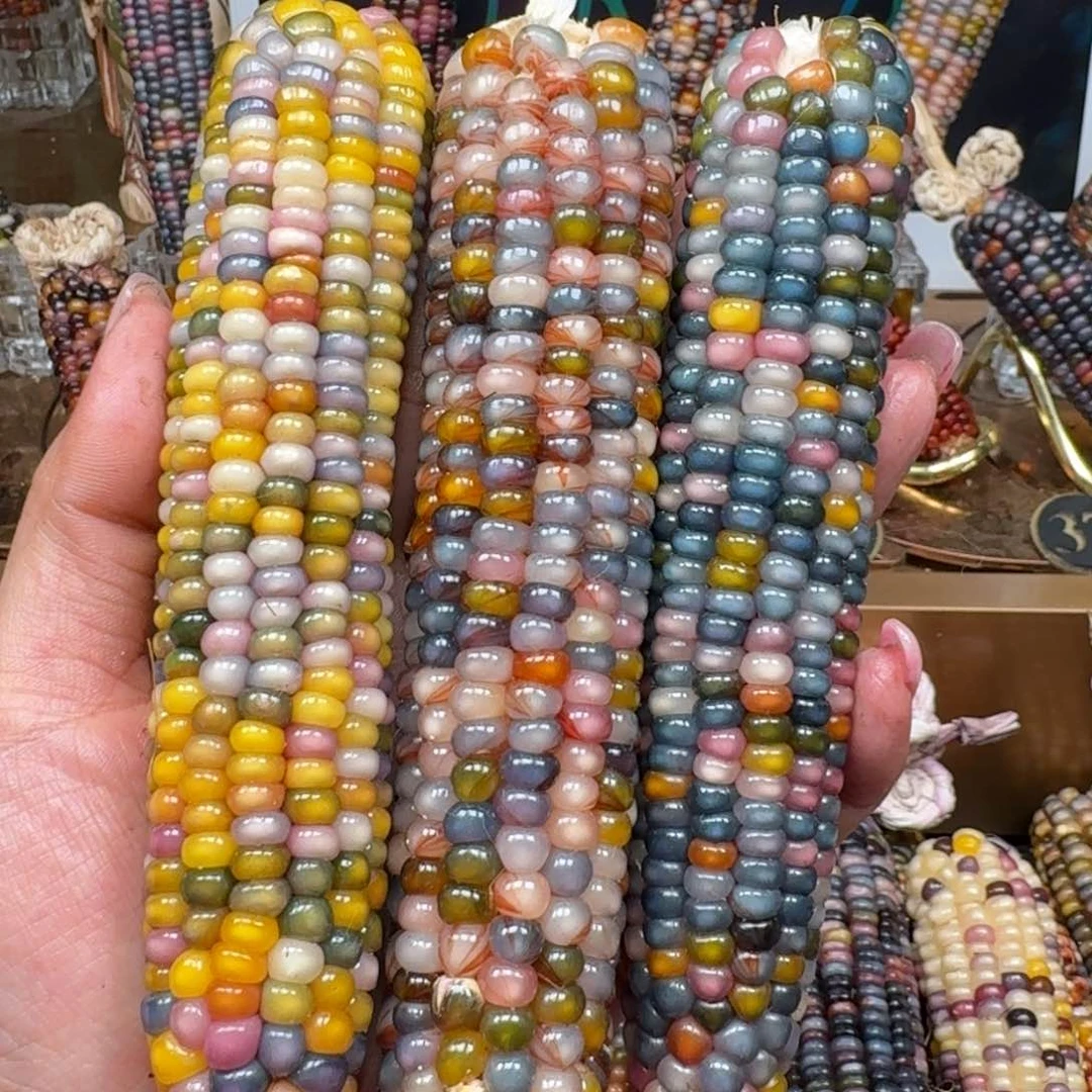 柏香籽/百香籽吊坠可***提