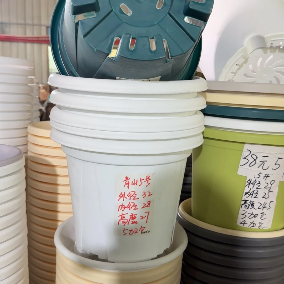 青山5号无拖纯白色5个