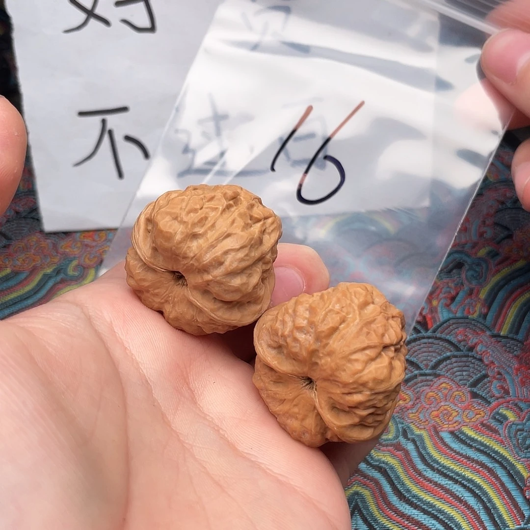 核桃哈哈哈哈哈哈哈哈哈哈